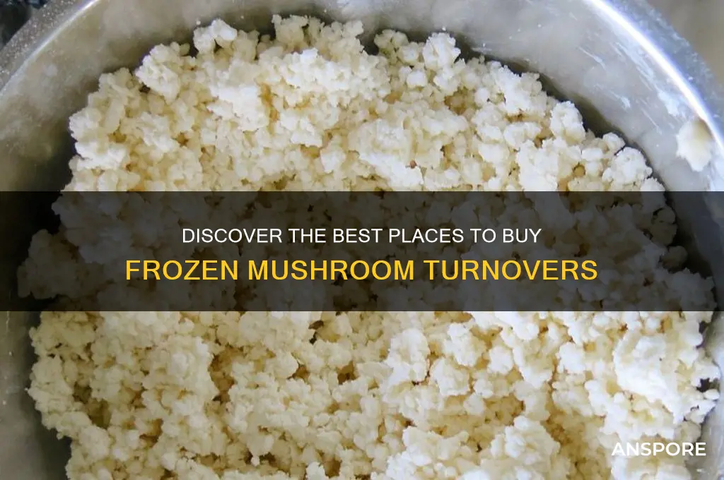 where to buy frozen mushroom turnovers