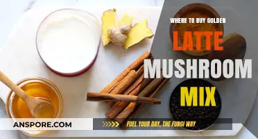 Discover the Best Places to Buy Golden Latte Mushroom Mix