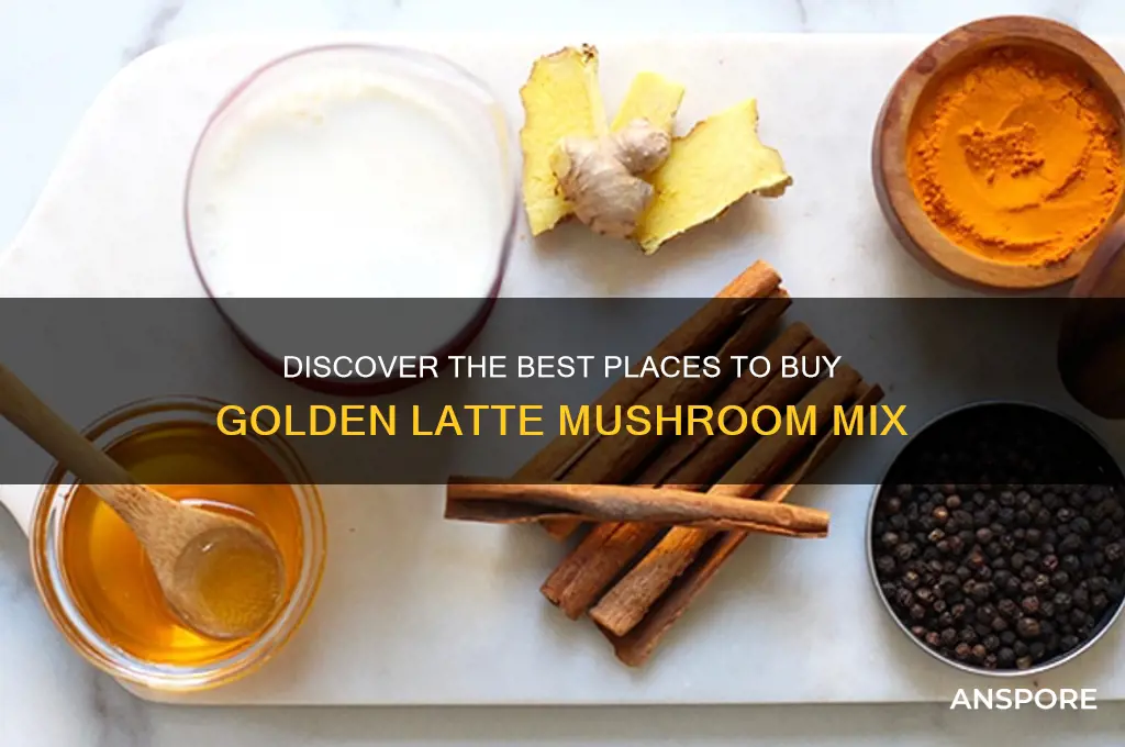 where to buy golden latte mushroom mix