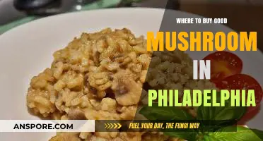 Discover Philadelphia's Top Spots for Fresh, High-Quality Mushrooms