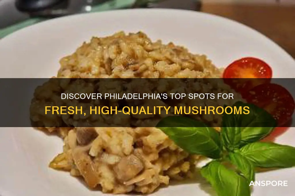 where to buy good mushrooms in philadelphia