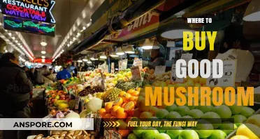 Discover the Best Places to Buy Fresh, High-Quality Mushrooms