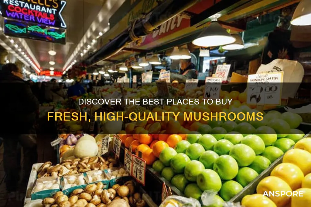 where to buy good mushrooms
