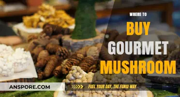 Discover Top Spots to Buy Gourmet Mushrooms for Culinary Excellence