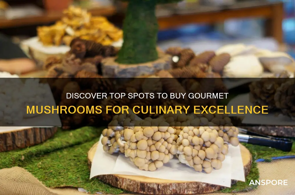 where to buy gourmet mushrooms