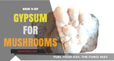 Best Places to Buy Gypsum for Growing Mushrooms: A Guide