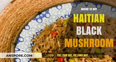 Discover Authentic Haitian Black Mushrooms: Top Sources to Buy Online & Locally
