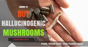 Exploring Legal Sources: Where to Safely Purchase Hallucinogenic Mushrooms