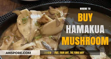 Discover the Best Places to Buy Hamakua Mushrooms Locally and Online