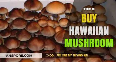 Discover Authentic Hawaiian Mushrooms: Top Sources for Quality Purchases