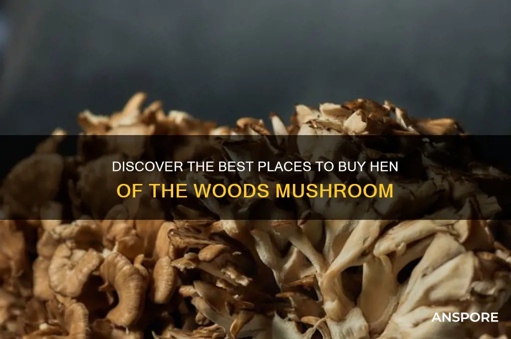 where to buy hen of the woods mushroom