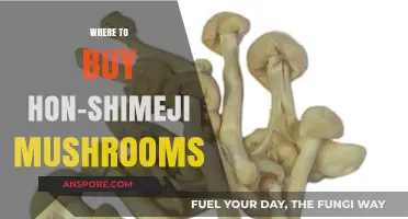 Discover the Best Places to Buy Fresh Hon-Shimeji Mushrooms