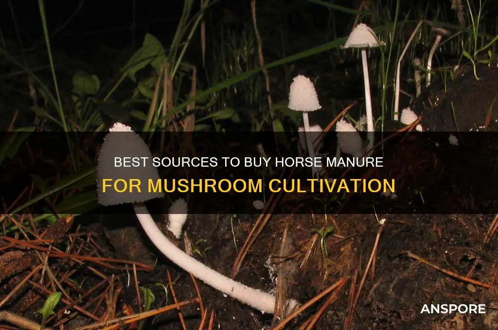 where to buy hores manuer for growing mushrooms