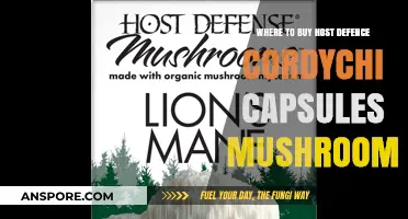 Best Places to Purchase Host Defense Cordychi Mushroom Capsules