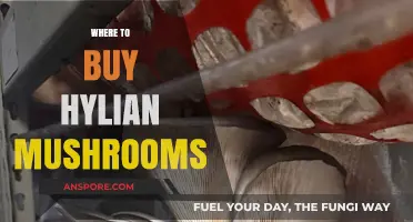 Discover the Best Places to Buy Hylian Mushrooms Online