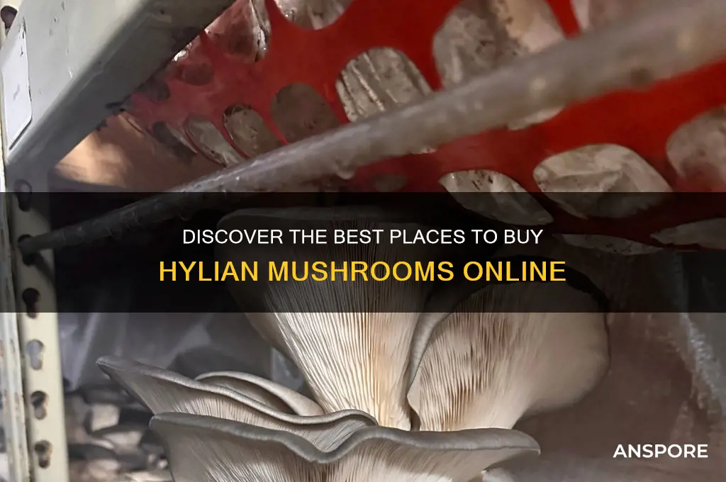 where to buy hylian mushrooms