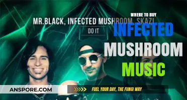 Discover Infected Mushroom's Music: Top Online Stores to Purchase