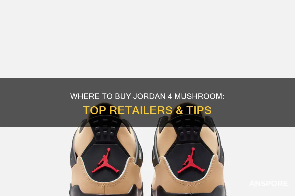 where to buy jordan 4 mushroom