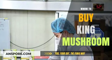 Discover the Best Places to Buy Fresh King Mushrooms Today