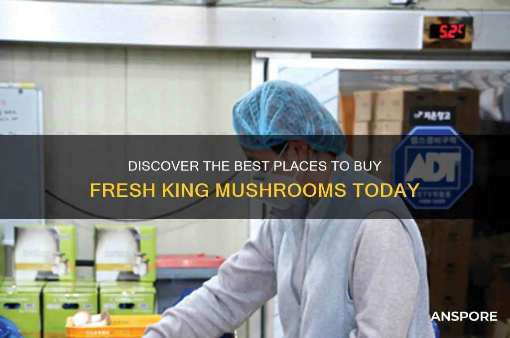 where to buy king mushrooms
