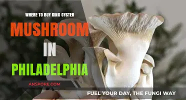 Discover Philadelphia's Best Spots to Buy King Oyster Mushrooms