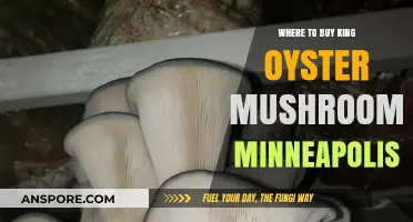 Best Spots to Buy King Oyster Mushrooms in Minneapolis