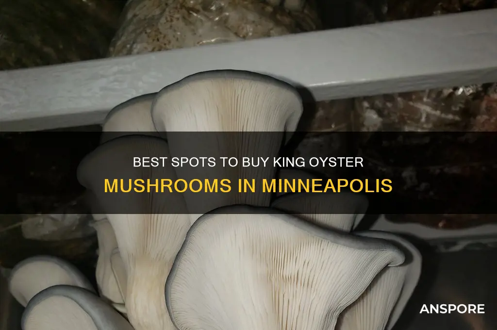 where to buy king oyster mushrooms minneapolis