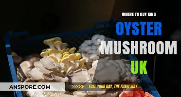 Best UK Spots to Buy Fresh King Oyster Mushrooms