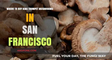 Best Spots to Buy King Trumpet Mushrooms in San Francisco
