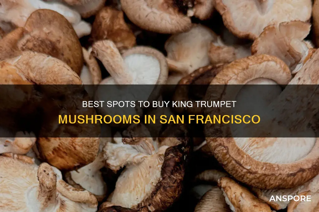 where to buy king trumpet mushrooms in san francisco