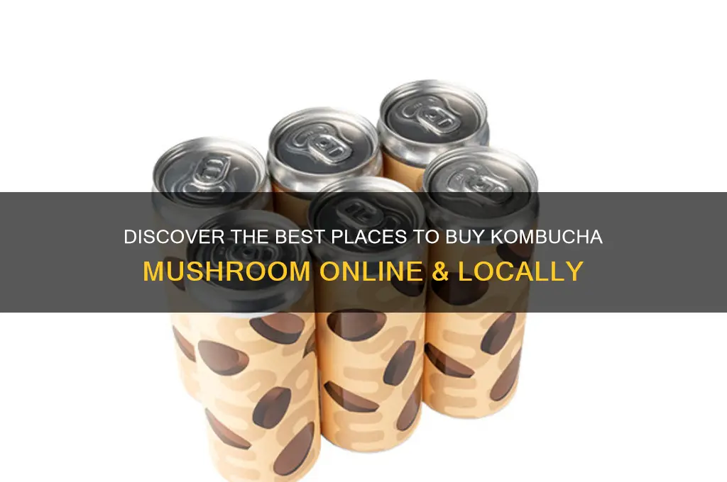 where to buy kombucha mushroom