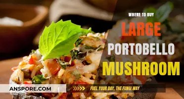 Best Places to Buy Large Portobello Mushrooms for Cooking