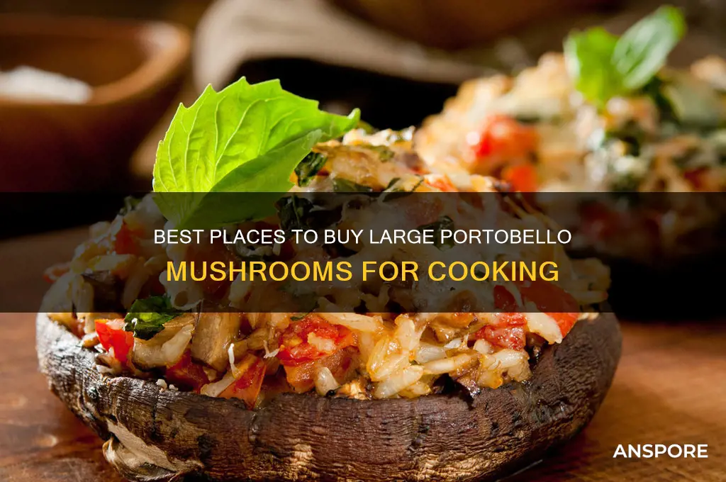 where to buy large portobello mushrooms
