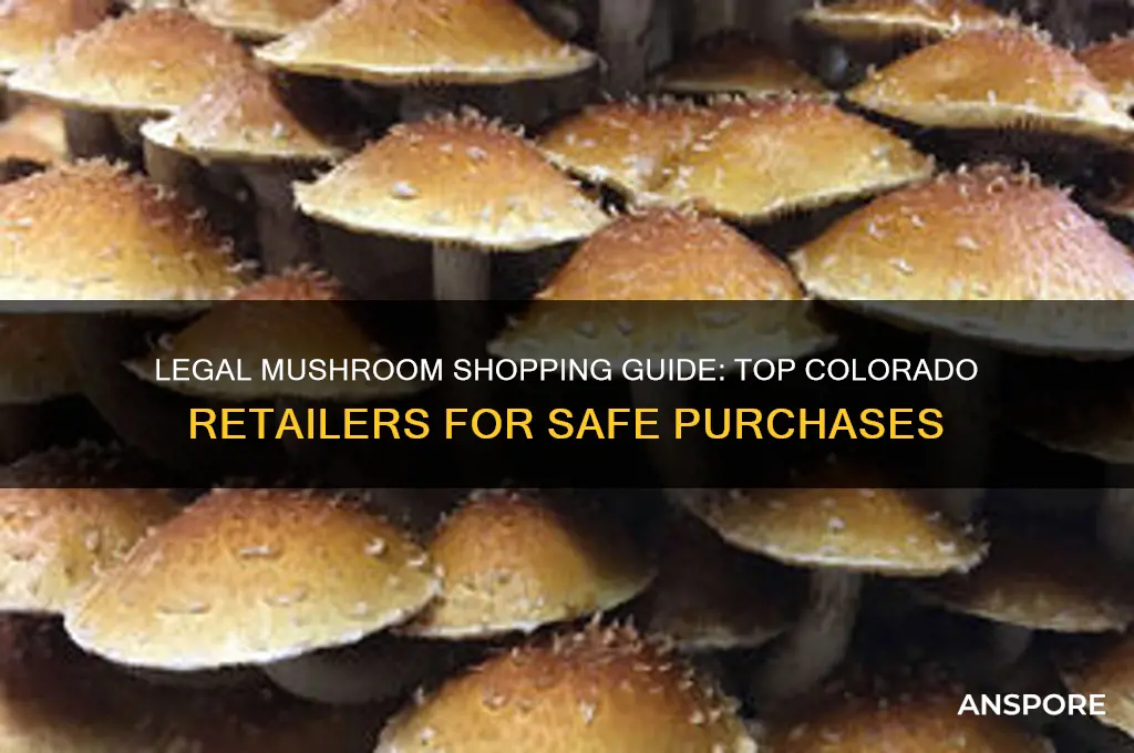 where to buy legal mushrooms in colorado