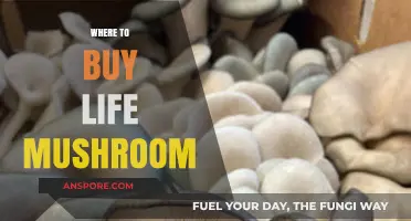 Discover the Best Places to Buy Life Mushrooms Online and Locally