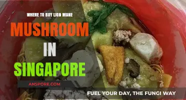 Best Places to Buy Lion's Mane Mushroom in Singapore