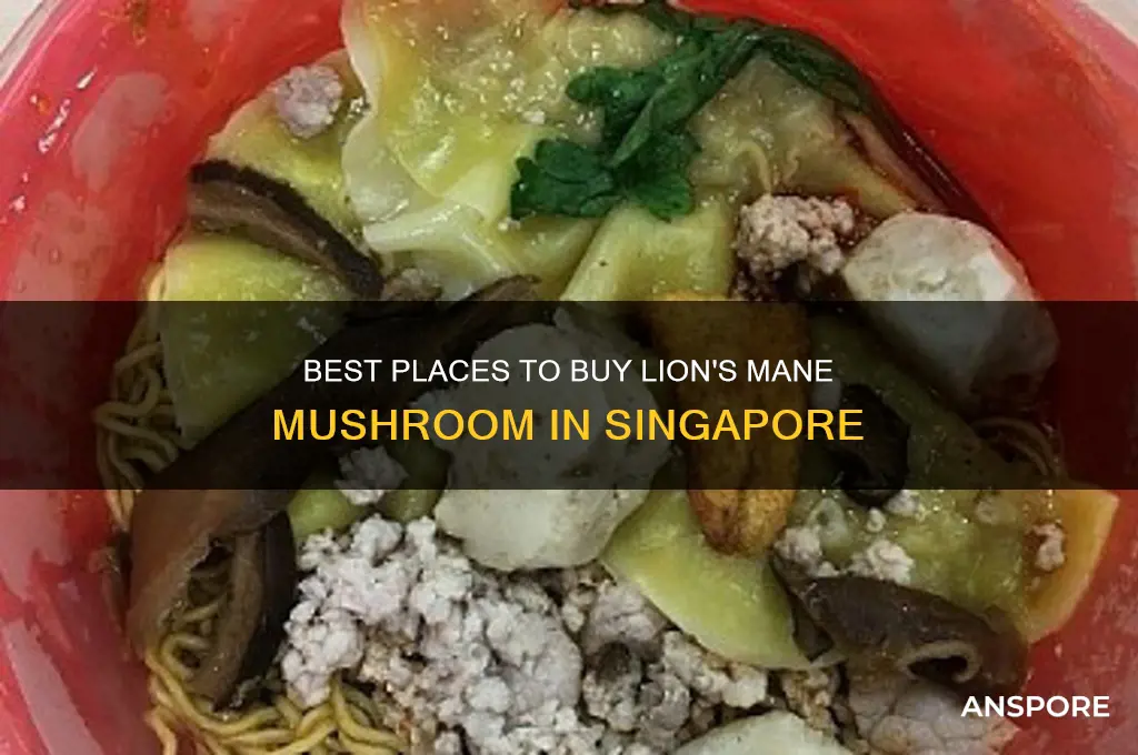 where to buy lion mane mushroom in singapore