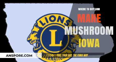 Discover Iowa's Best Sources for Lion's Mane Mushrooms Today