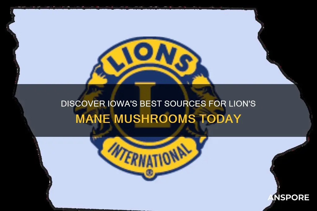 where to buy lion mane mushrooms iowa