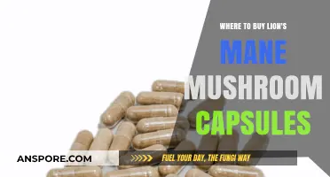 Best Places to Buy Lion's Mane Mushroom Capsules Online