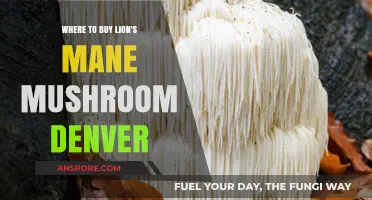 Denver's Best Spots to Buy Lion's Mane Mushroom: A Guide