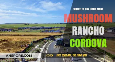 Best Places to Buy Lion's Mane Mushroom in Rancho Cordova