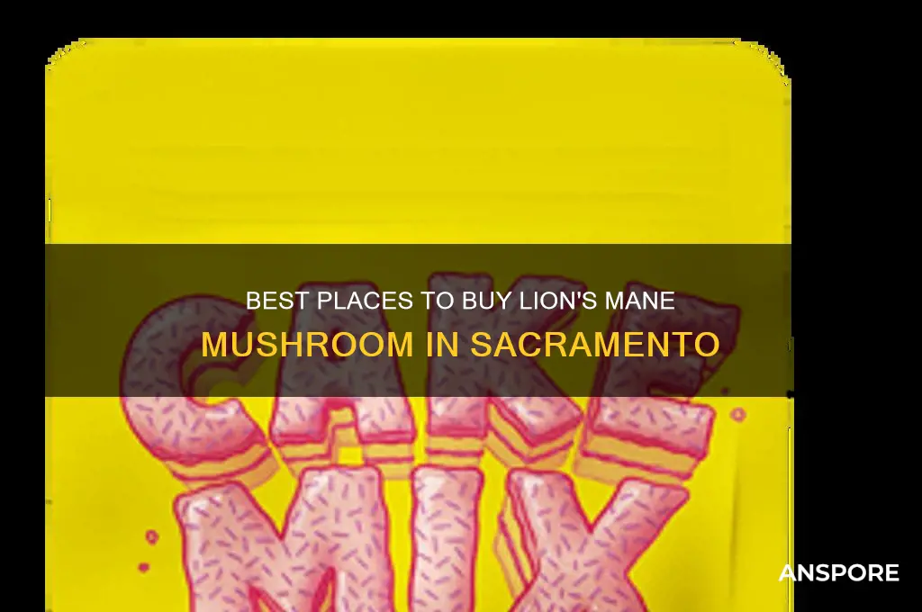where to buy lions mane mushroom sacramento