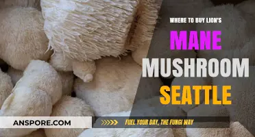 Discover Top Spots to Buy Lion's Mane Mushroom in Seattle