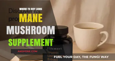 Best Places to Buy Lion's Mane Mushroom Supplements Online