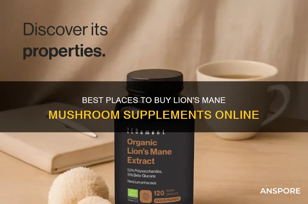 where to buy lions mane mushroom supplement