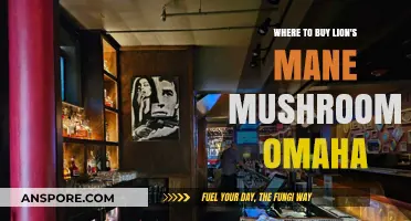 Discover Top Spots to Buy Lion's Mane Mushrooms in Omaha
