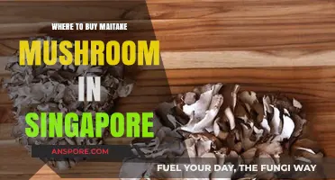 Discover Top Spots to Buy Maitake Mushrooms in Singapore