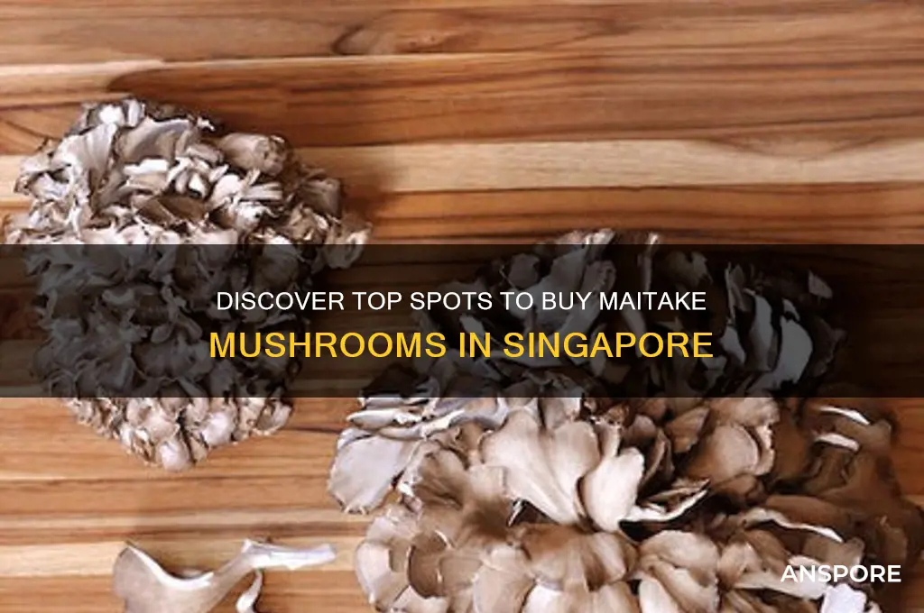 where to buy maitake mushroom in singapore