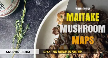 Discover Top Retailers for Maitake Mushroom Maps: A Buyer's Guide